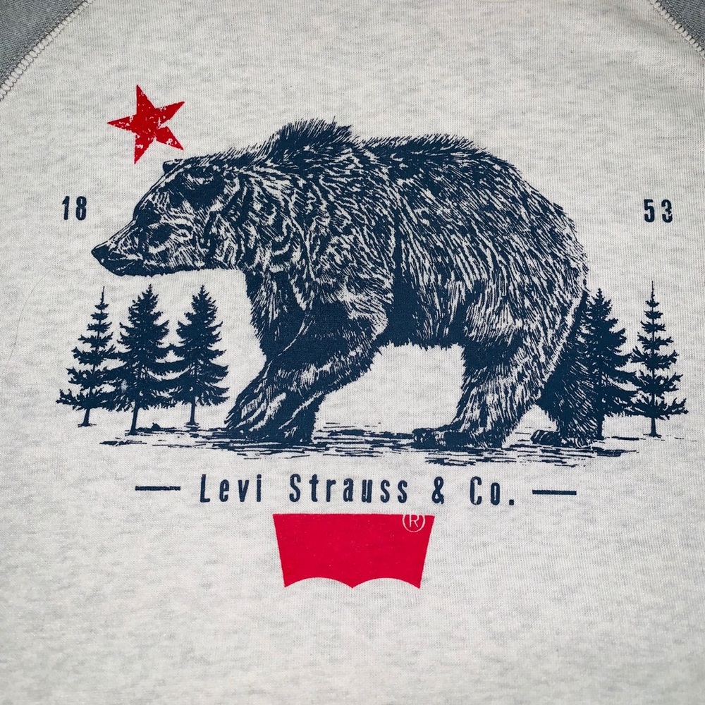 Levi’s Hoody